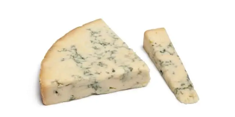 Blue Stilton Cheese with Penicillium roqueforti mold