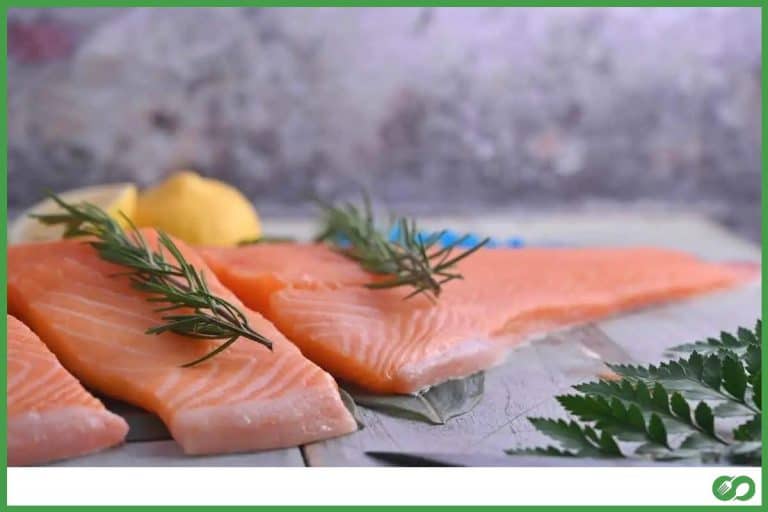 Can you Eat Salmon Cold? (What you Should Know)