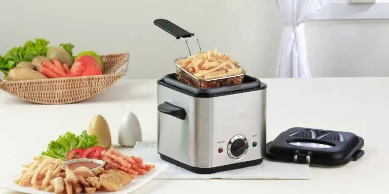 Deep fryer with fries