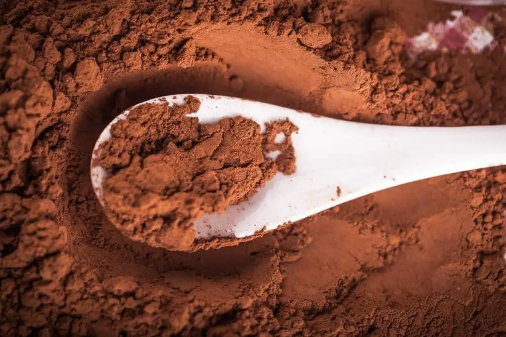 Can You Use Hot Chocolate Powder Instead Of Cocoa Powder Topfoodinfo