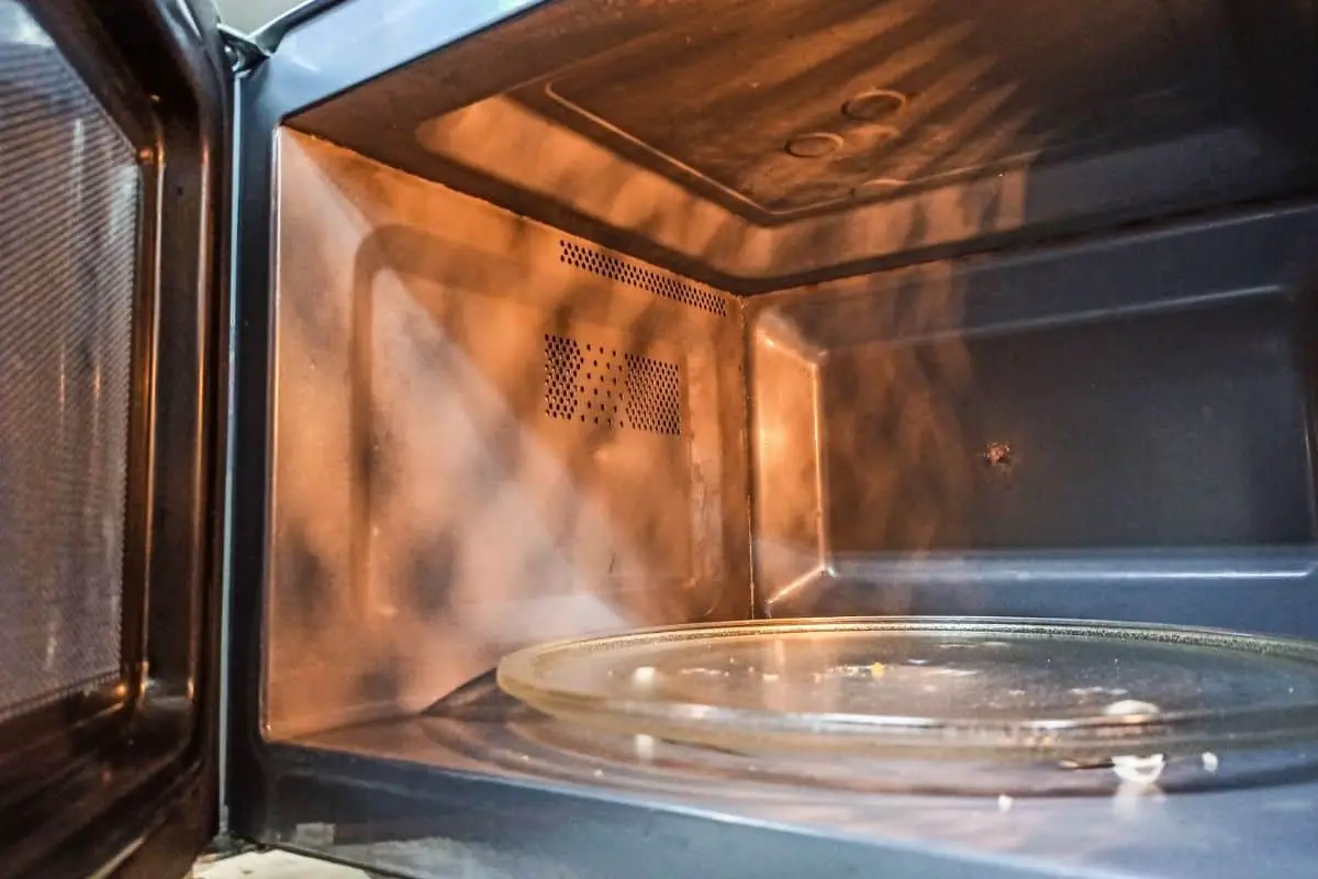 Do Microwaves Need To Rotate?