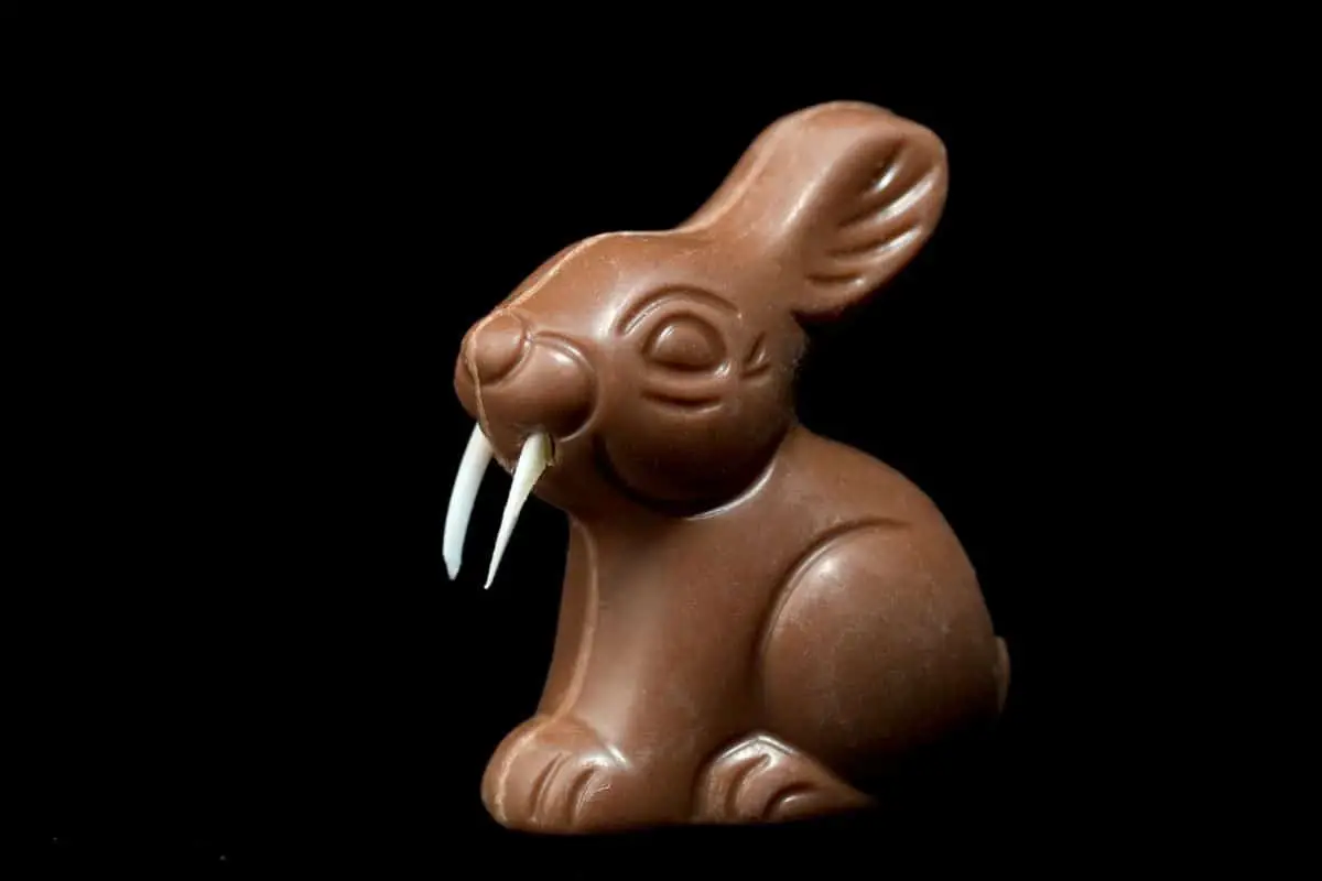 Which Animal Can Eat Chocolate? (And Which Can't) – 