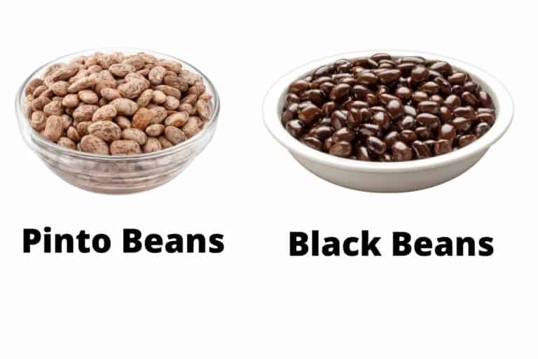 Pinto Beans Vs Black Beans What Is The difference?