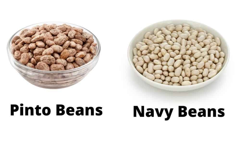 Pinto Beans Vs Navy Beans What Is The Difference?