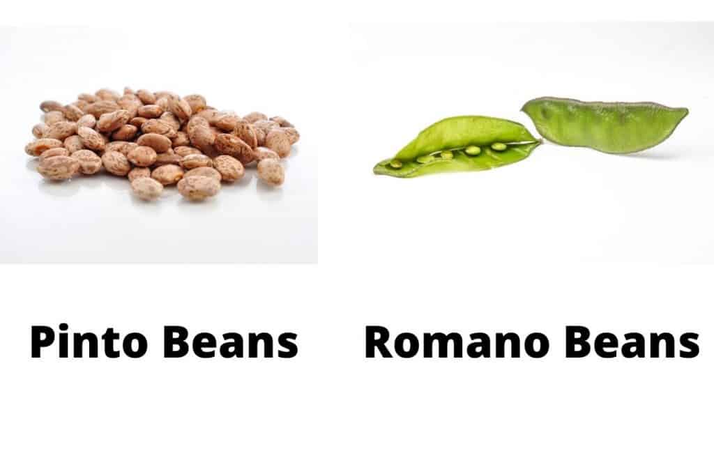 Pinto Beans Vs Romano Beans – What Is The Difference?