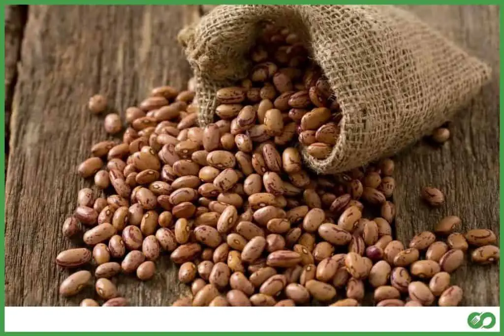 Pinto Beans Vs Navy Beans What Is The Difference?
