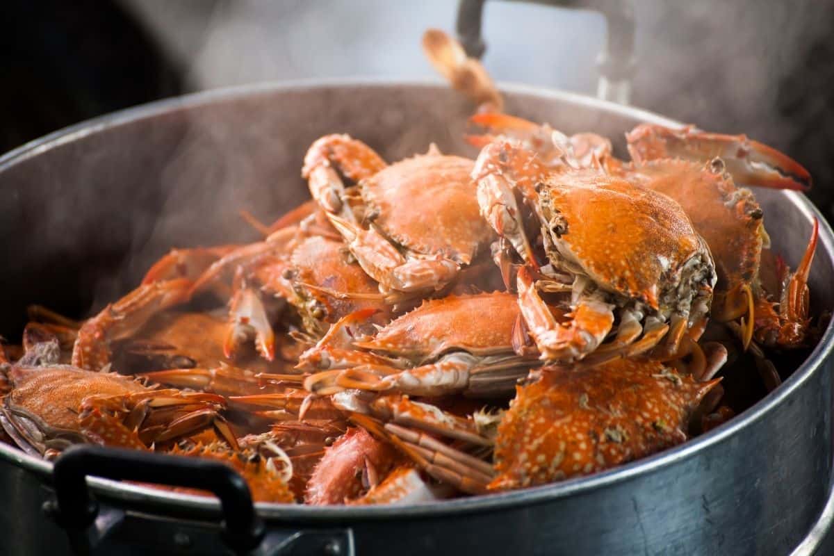 How To Keep Crabs Warm After Cooking – topfoodinfo.com