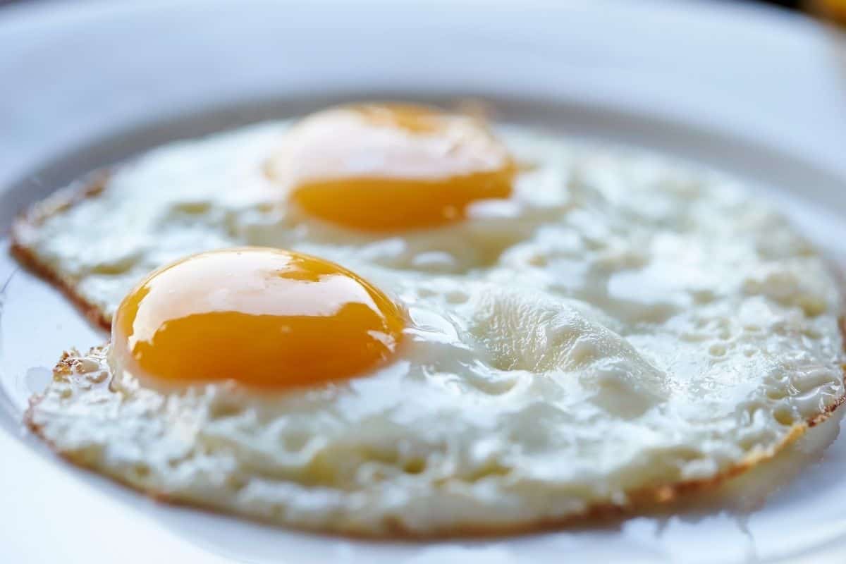 how-to-keep-fried-eggs-warm-after-cooking-topfoodinfo