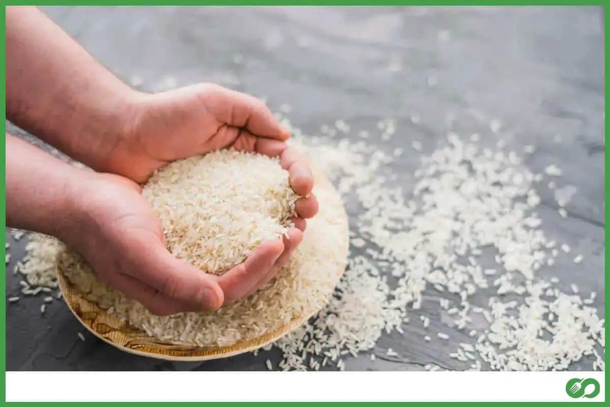 Person holding up dried rice