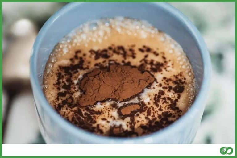 Can You Use Milk With Instant Hot Chocolate?