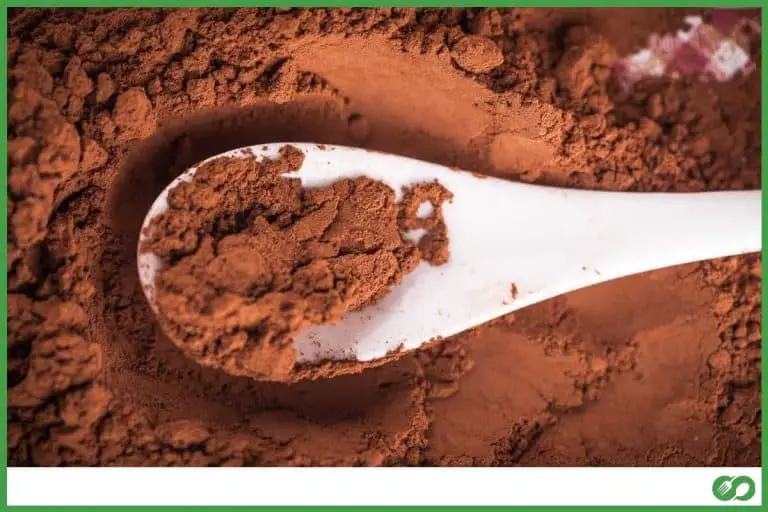 Can You Use Hot Chocolate Powder Instead Of Cocoa Powder?