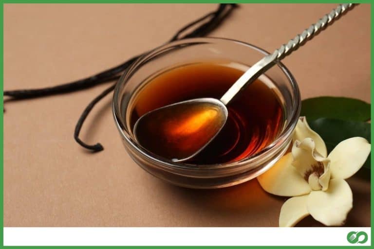 Homemade Vanilla Extract: Everything You Need to Know