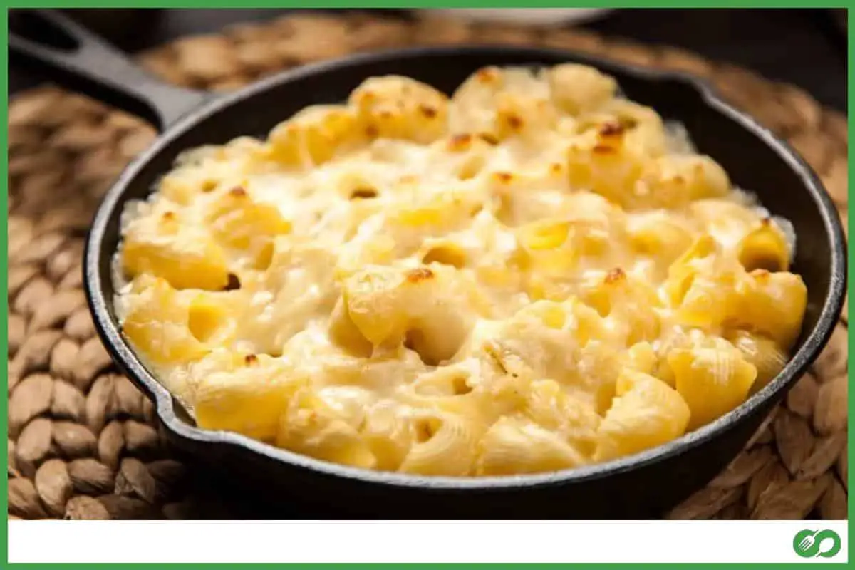 Oven baked mac and cheese