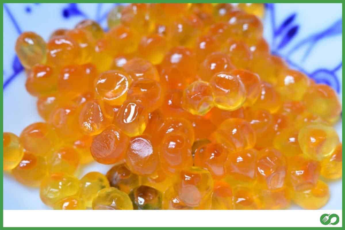 Salmon eggs