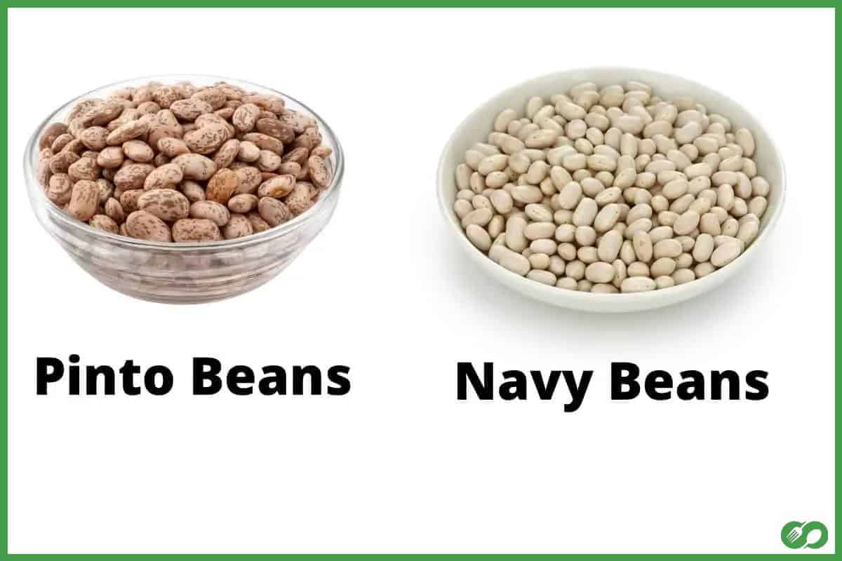 Pinto beans and navy beans side by side