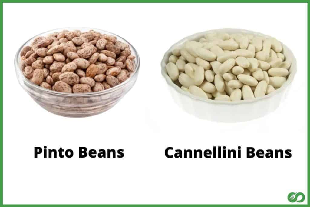 Pinto Beans Vs Navy Beans What Is The Difference?