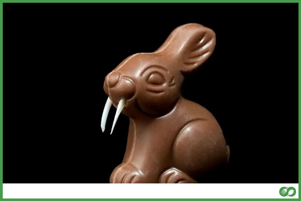 Chocolate covered bunny